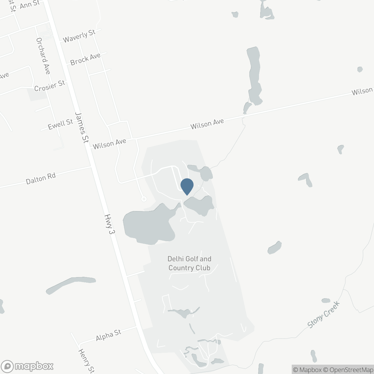 156 ST MICHAEL'S Street, Delhi, Ontario N4B 3C8